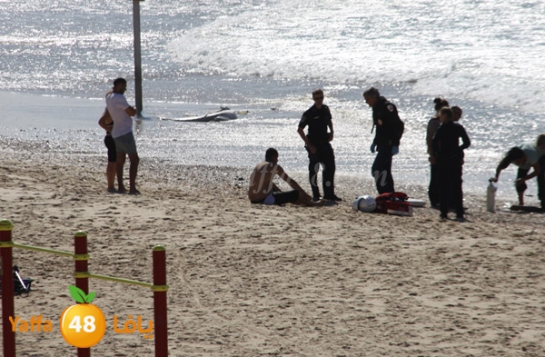 gareg 107 3ajami (9).JPG